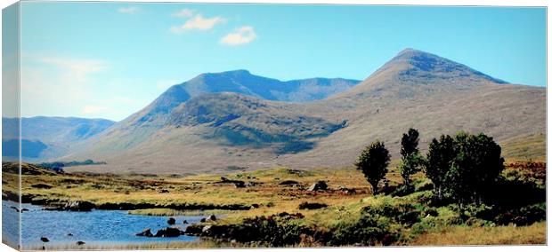  highland landscape   Canvas Print by dale rys (LP)