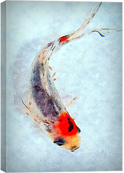  fish life  Canvas Print by dale rys (LP)