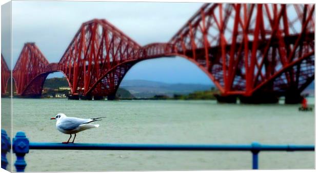  down at queensferry  Canvas Print by dale rys (LP)