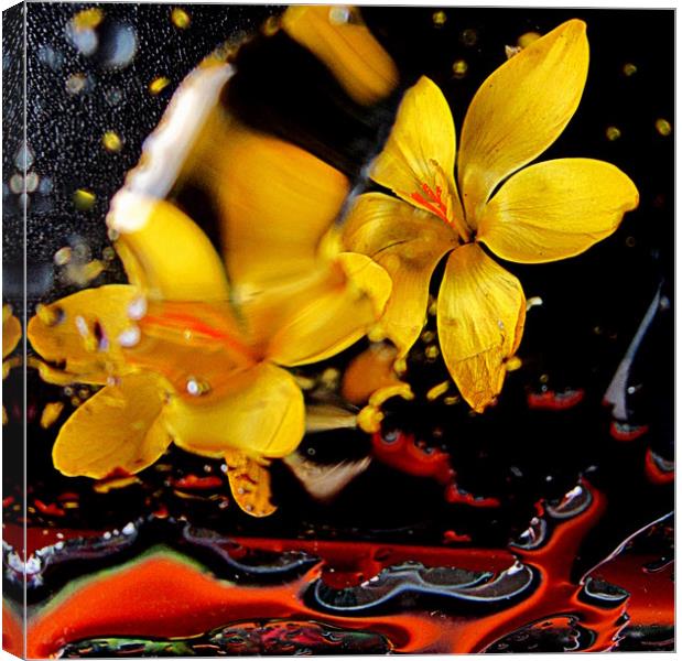 lively in yellow Canvas Print by dale rys (LP)