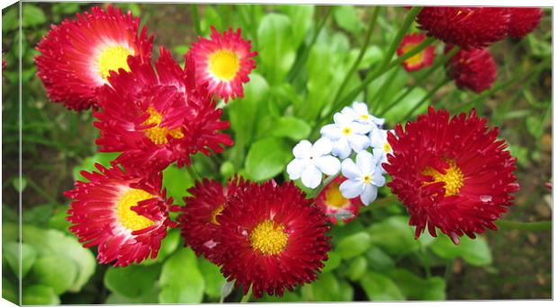 Simply Bright Red Flowers Canvas Print by Donna Townsend