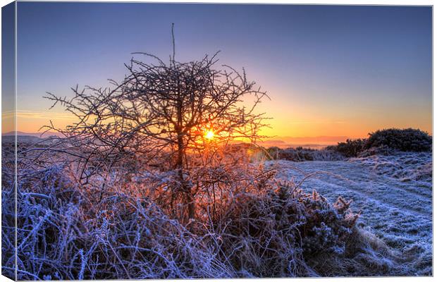 Frosty Morning Canvas Print by Paul McKenzie