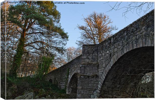 Bridge of Feugh, Banchory Canvas Print by Michael Moverley