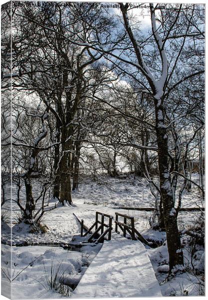 Snowy Bridge Canvas Print by Michael Moverley