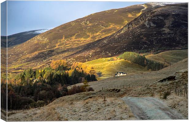 Autumn at Spittal of Glenshee Canvas Print by Michael Moverley