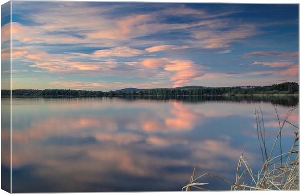 Sunrise reflections at Loch of Skene Canvas Print by Michael Moverley