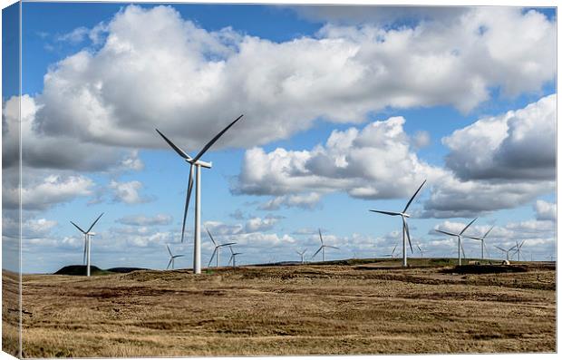 Whitelee Wind Farm Canvas Print by Michael Moverley