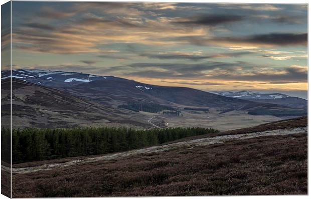 Sunset on the Lecht Valley Canvas Print by Michael Moverley