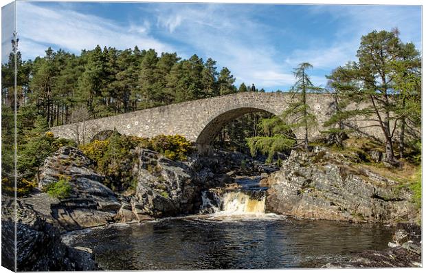 Garve Bridge, Little Garve Canvas Print by Michael Moverley