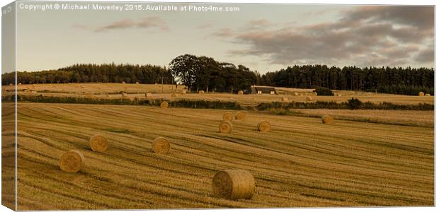  Haybales in the Sun Canvas Print by Michael Moverley