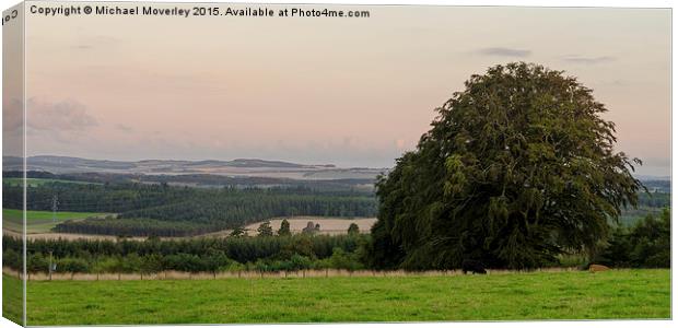 Sunset over Aberdeenshire Canvas Print by Michael Moverley