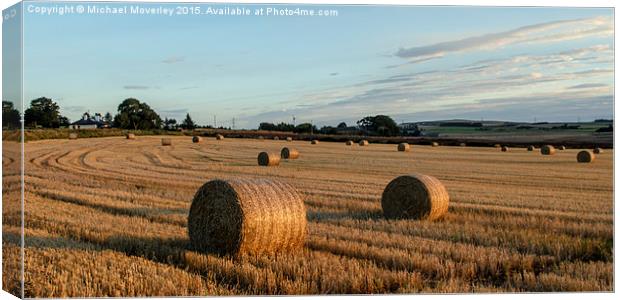  Sunset in Aberdeenshire Canvas Print by Michael Moverley