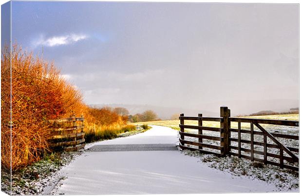 Exmoor in the Snow Canvas Print by Debbie Metcalfe