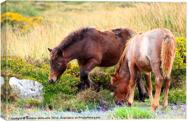 Ponies on Dartmoor Canvas Print by Debbie Metcalfe