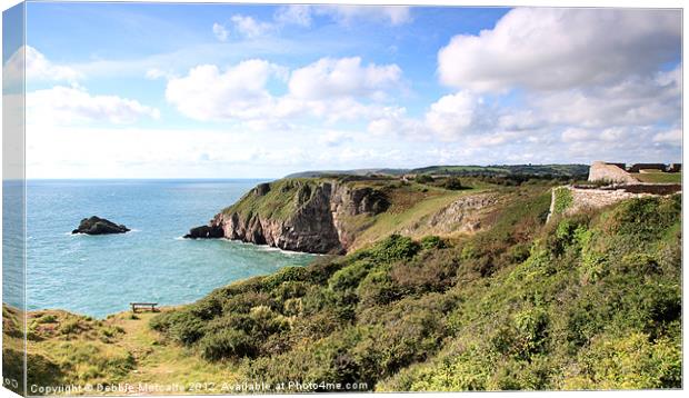 Berryhead National Nature Reserve Canvas Print by Debbie Metcalfe