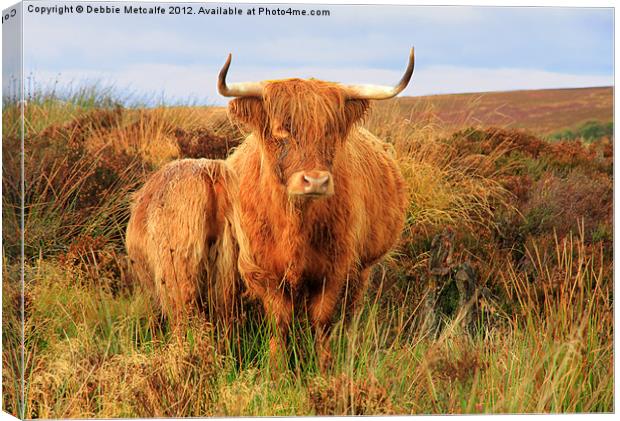 Highland Cow & baby Canvas Print by Debbie Metcalfe
