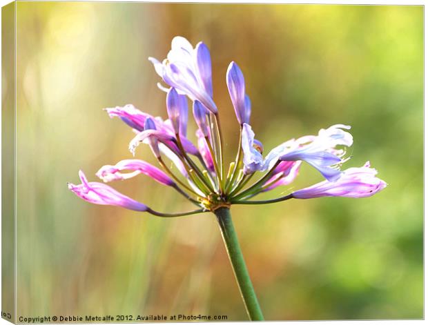 Autumn Flower Canvas Print by Debbie Metcalfe