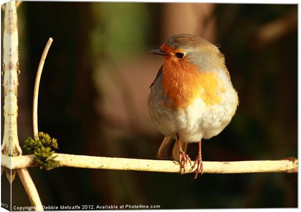 Pretty Xmas Robin Canvas Print by Debbie Metcalfe