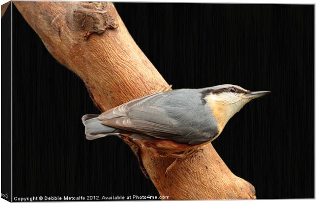 Nuthatch on watch Canvas Print by Debbie Metcalfe