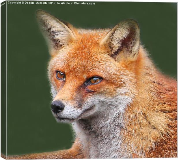 Dreamy Fox Canvas Print by Debbie Metcalfe