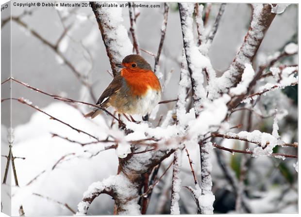 Robin in the snow Canvas Print by Debbie Metcalfe
