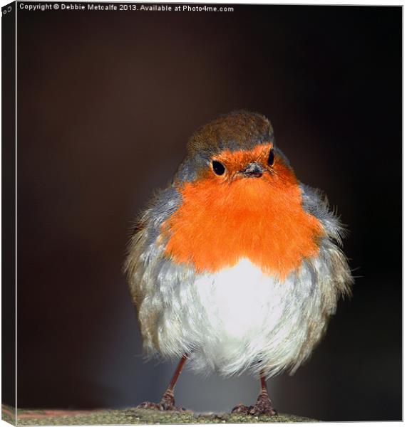 Fluffy Robin Canvas Print by Debbie Metcalfe