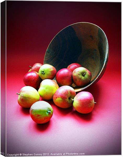 Still Life with Apples Canvas Print by Stephen Conroy