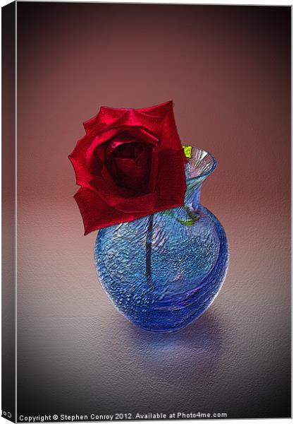 Still Life with Red Rose Canvas Print by Stephen Conroy
