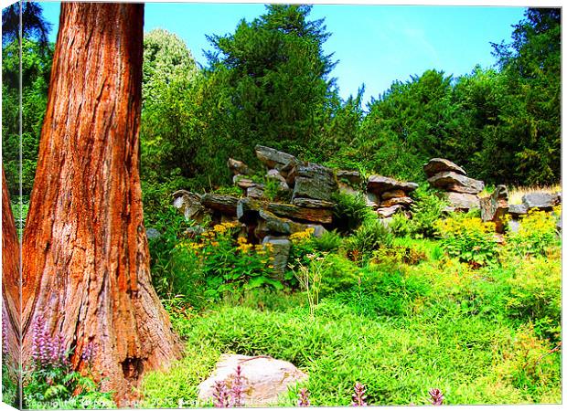 Landscape with Rocks and Trees Canvas Print by Stephen Conroy