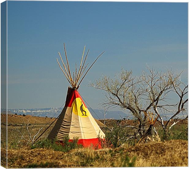 Indian Teepees in the desert of Colorado Canvas Print by Patti Barrett