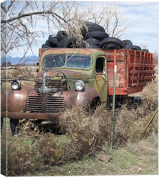 Exiled Dodge from times past Canvas Print by Patti Barrett