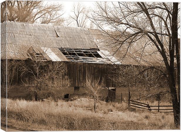 Barn in Sepia Canvas Print by Patti Barrett