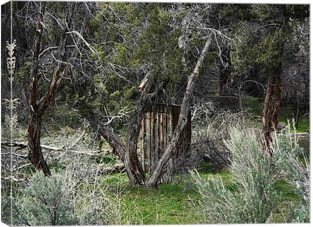 Outhouse in the woods Canvas Print by Patti Barrett