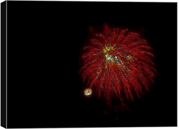 Fireworks in red Canvas Print by Patti Barrett