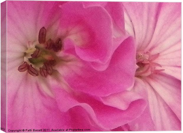 pink ruffles and flourishes Canvas Print by Patti Barrett