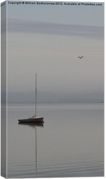 Sailboat & Seagull Canvas Print by Beach Bum Pics