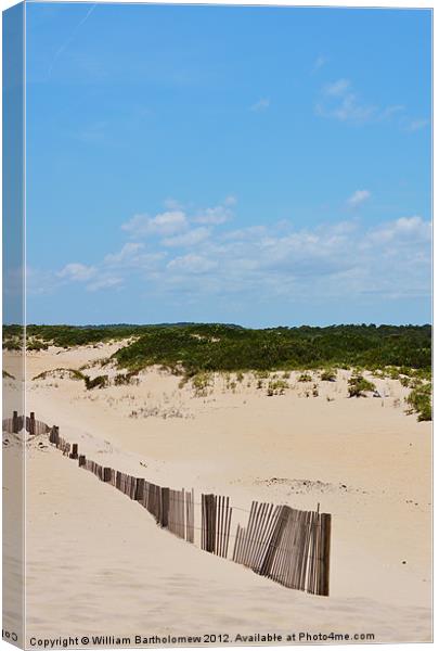 Dune Fence Canvas Print by Beach Bum Pics