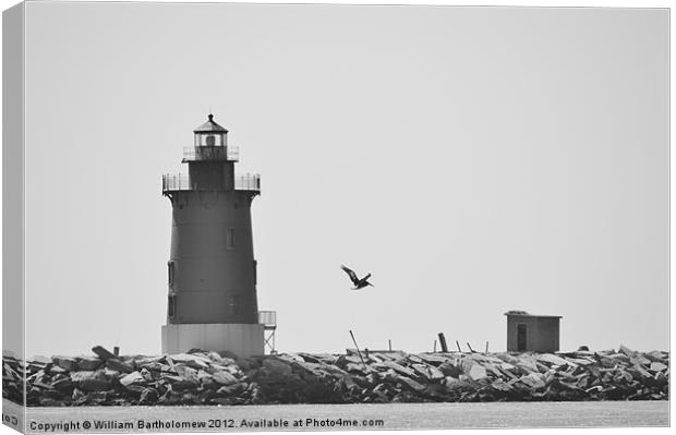 Light Gray Canvas Print by Beach Bum Pics