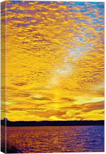 Golden Sunset Canvas Print by Beach Bum Pics