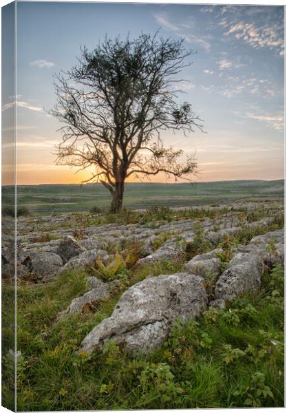 Malham Sunset Canvas Print by Jed Pearson