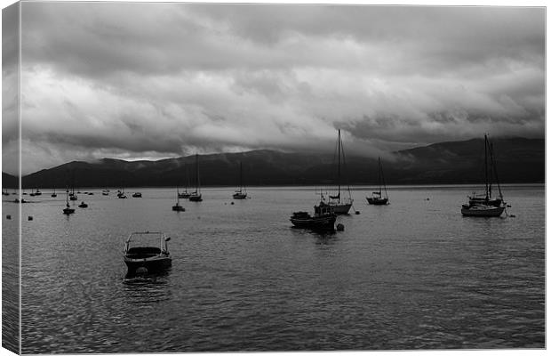 Aberdovey Moorings Canvas Print by Jed Pearson