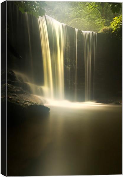 Misty Falls Canvas Print by Jed Pearson