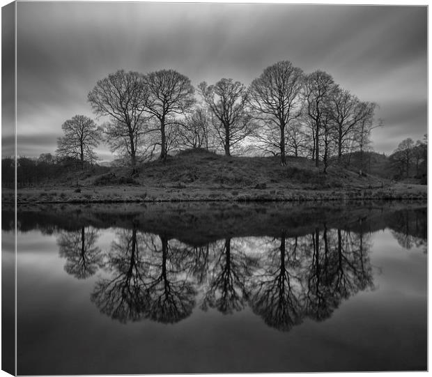 Elterwater Trees  Canvas Print by Jed Pearson