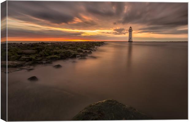 Golden Fringe Canvas Print by Jed Pearson