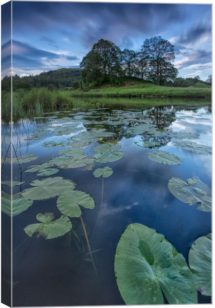 Lily pads and reflections Canvas Print by Jed Pearson