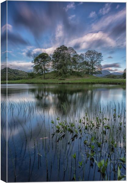 Bruised sky at Elterwater Canvas Print by Jed Pearson