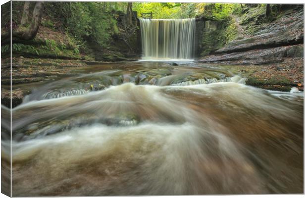 In full flow Canvas Print by Jed Pearson