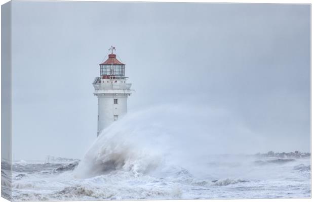 Catching a wave Canvas Print by Jed Pearson