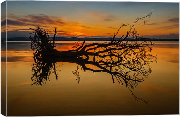 Loch Leven Tree Tinted Canvas Print by Adrian Maricic