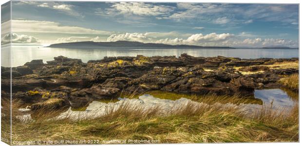 Wee Cumbrae From Hunterston Canvas Print by Tylie Duff Photo Art